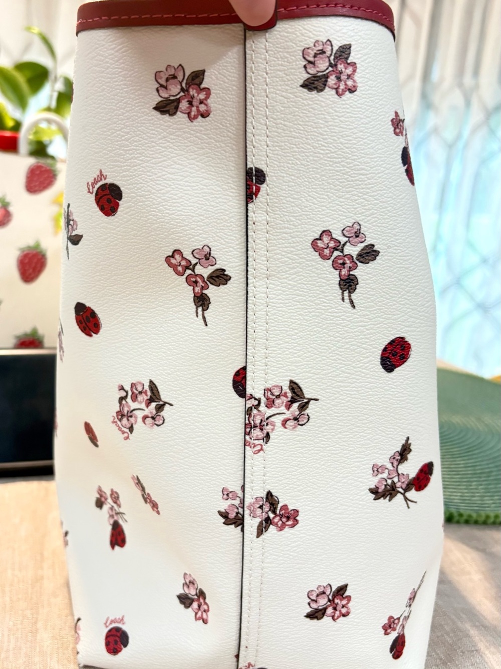 Coach Ladybug set - Picture 3 of 10